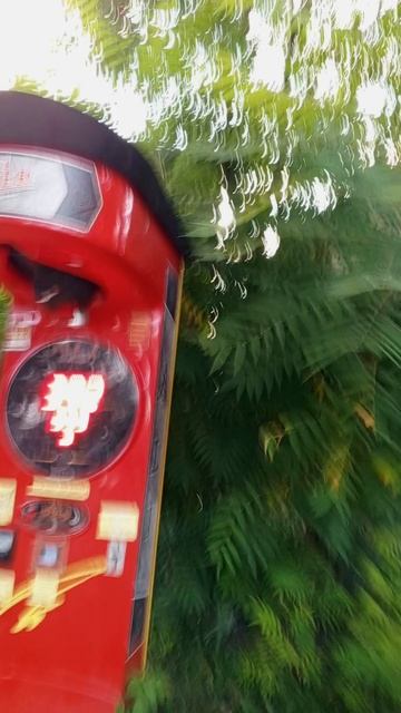 Папа учит дочку , как правильно бить боксёрскую грушу 🍐! #юмор #прикол #.бокс #ufc #каратист 🥋