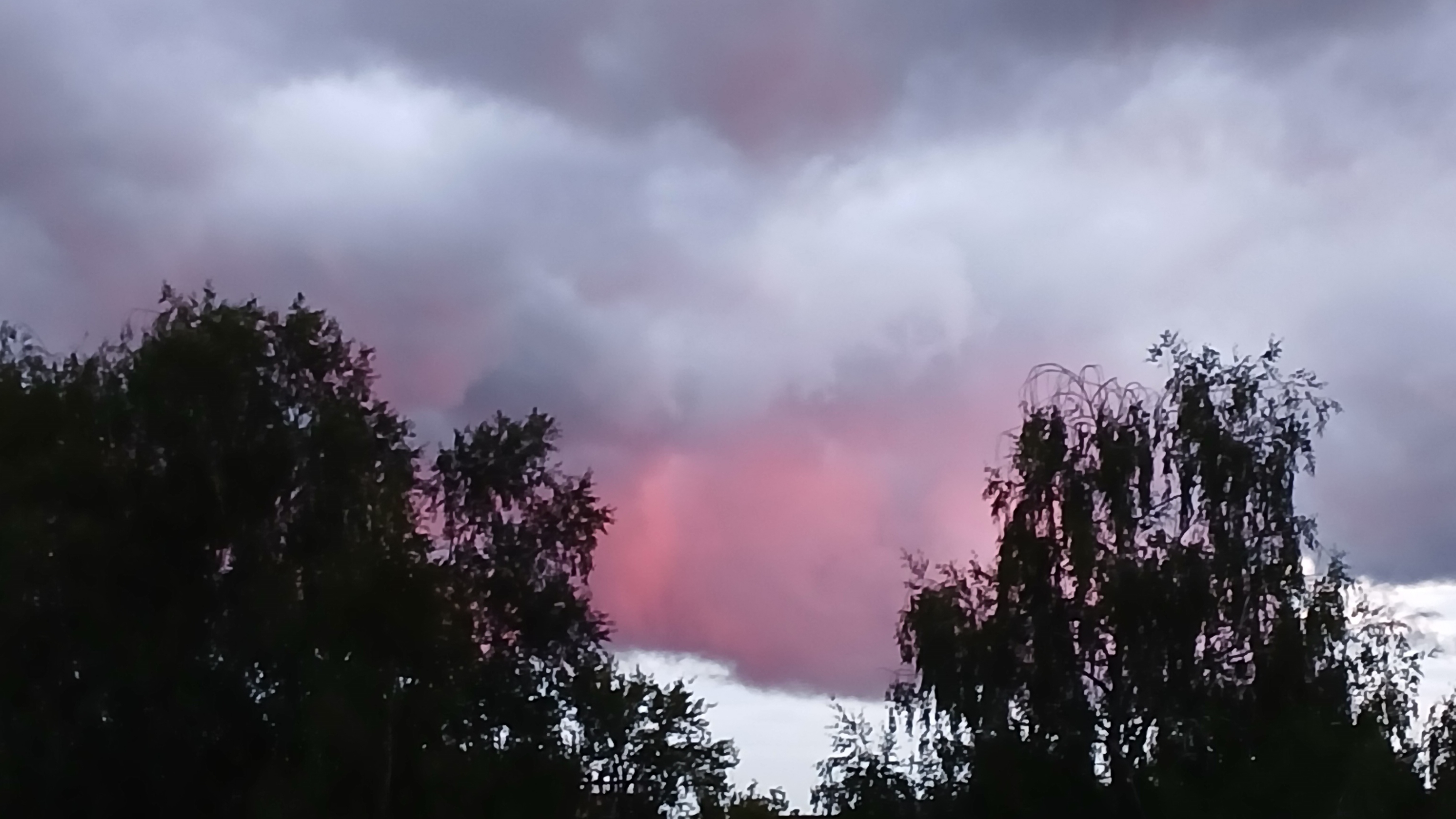 26-08-2025