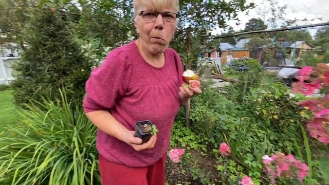 Влог. Жизнь на даче. Зашла подруга.