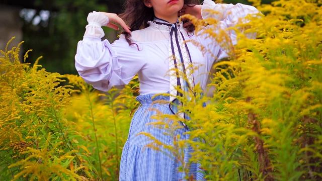 14280453_3840_2160_30fps