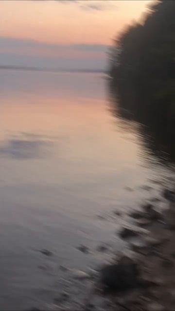 ВОТ ОНА, ДОЛГОЖДАННАЯ ПОКЛЁВКА!!! #shorts #рыбалка #fishing