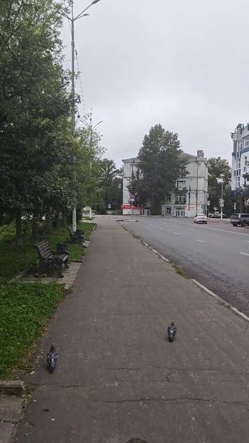 Россия, г.Тверь 26.08.25 7:00АМ, +10° День памяти Николая Гумилева