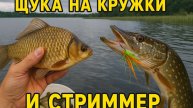 Две снасти – два способа ловли щуки! Кружки и стриммер в деле
