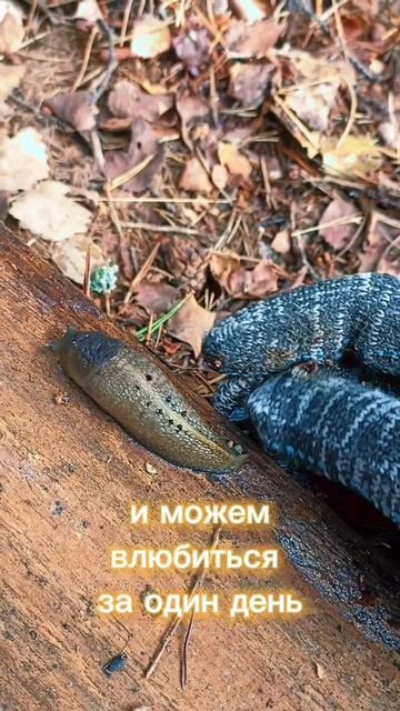 Психология жизни