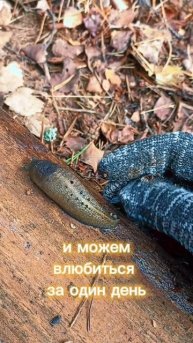 Психология жизни