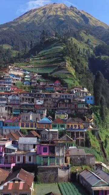 VID_20250826_212232_600.mp4