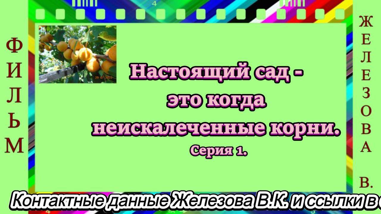 Настоящий сад - это когда неискалеченные корни. Серия 1.