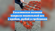 Сахалинская полиция накрыла подпольный цех с крабом, рыбой и гребешком