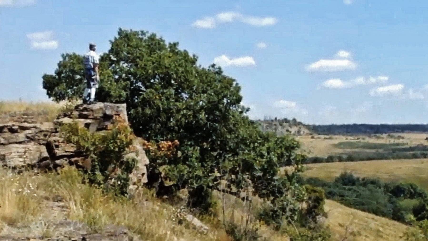 балка ПЕВЧАЯ