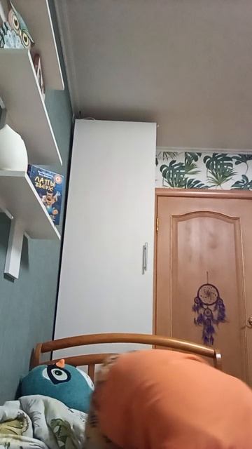 достал придурок