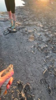 26 августа 2025 г.