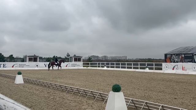 Малый приз Хиви_23082025