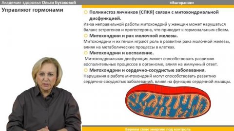 5 причин, почему ты опять на нуле