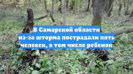 В Самарской области из-за шторма пострадали пять человек, в том числе ребенок
