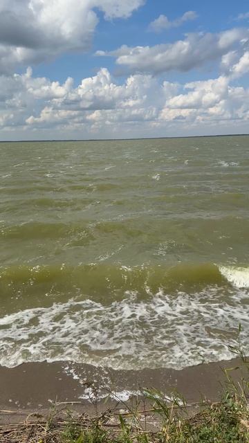 24.08.2025 озеро Песчаное , Алтайский край