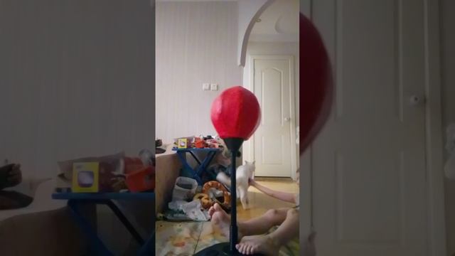 драюсь с допи помидорам 4 часть