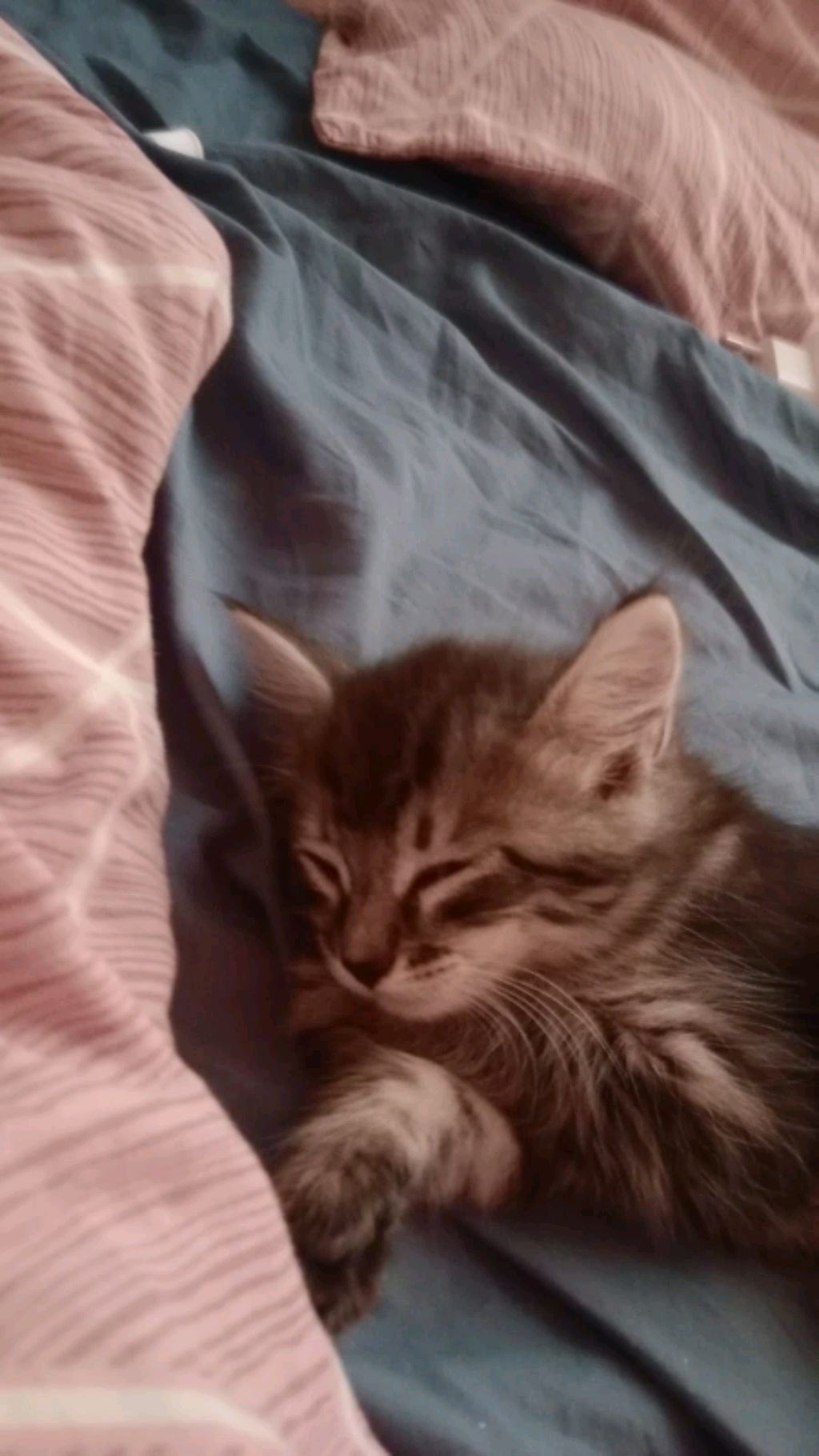 ловим сцп 952 часть 2.