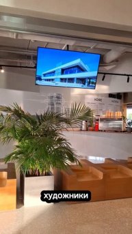 Даже кот в шоке от обновленного Южного Речного вокзала в Москве