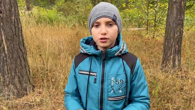 ГРИБЫ В СЕНТЯБРЕ В ПОДМОСКОВЬЕ| ГРИБНАЯ РАЗВЕДКА В ЛЕСУ| ГРИБЫ 2022