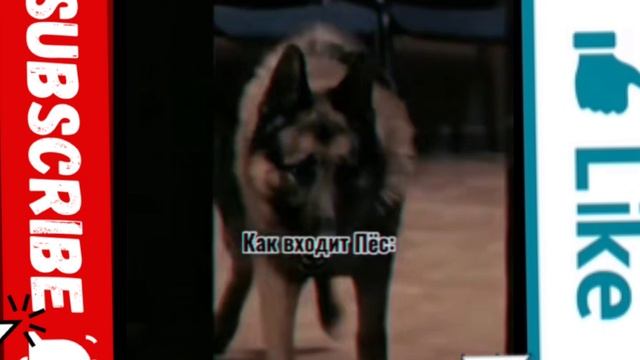 Пхахахахахаха