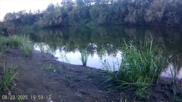 ГРИБАЛКА И РЫБАЛКА. КАК НАЗВАТЬ СВОЙ КАНАЛ