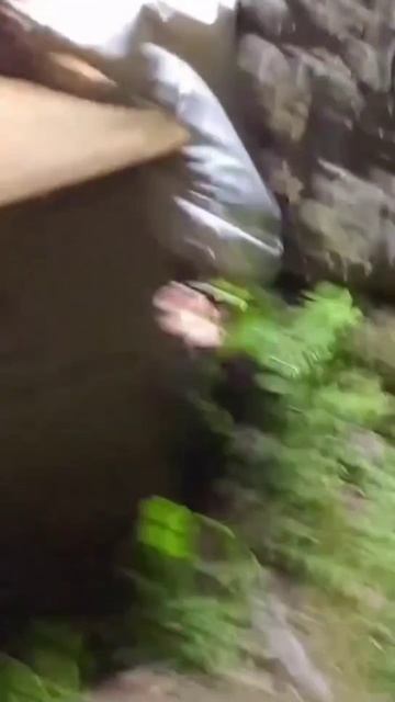 Приколов TV 🤣