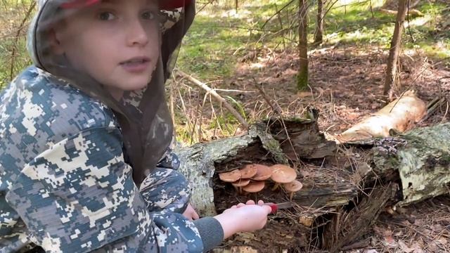 Грибалка в Серпухове 15.08.2021 года! Грибы есть!