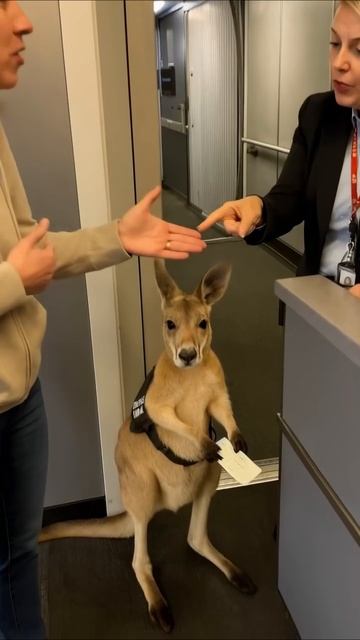 VID_20250826_220507_309.mp4