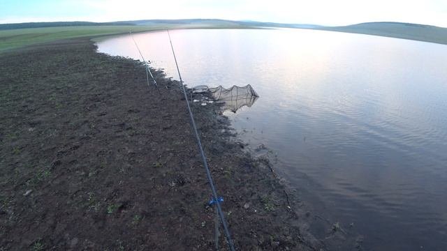 РЫБАЛКА НА СОМА.