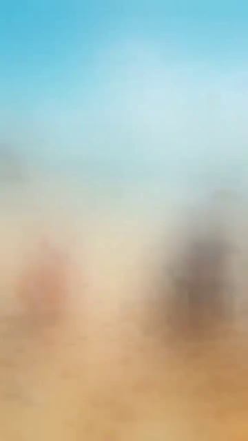 Кошачья семья.