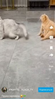 Screen_Recording_20250825-161822_RUTUBE.mp4