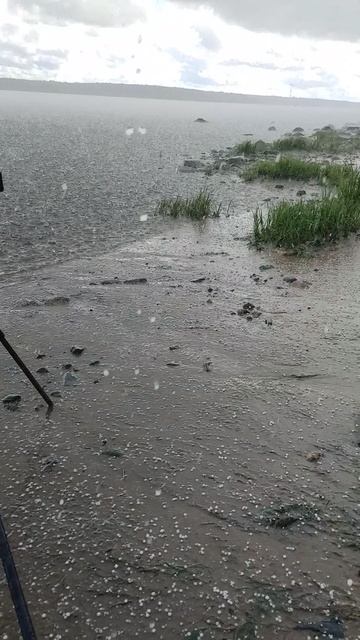 Погода менялась каждые пол часа