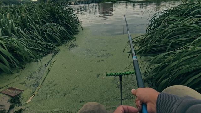 Пульметный клев на малой реке