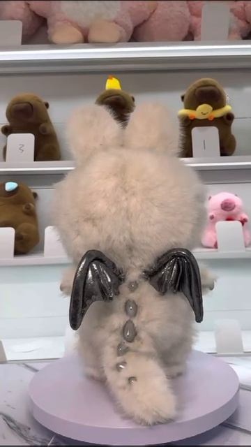 VID-20250818-WA0058.mp4