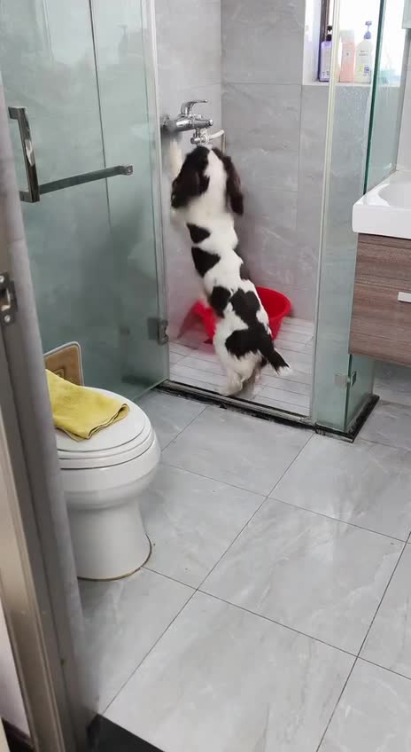 #Sketches #Hilarious #FunnyVideo English: tags