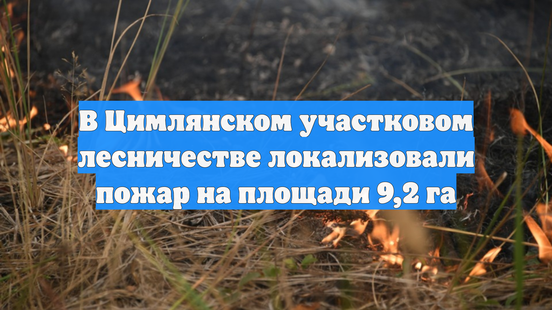 В Цимлянском участковом лесничестве локализовали пожар на площади 9,2 га