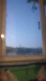 Феодосийские комарики