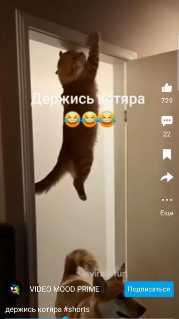 Screen_Recording_20250825-162412_RUTUBE.mp4