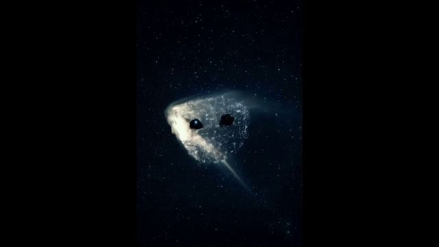 Женщина - комета