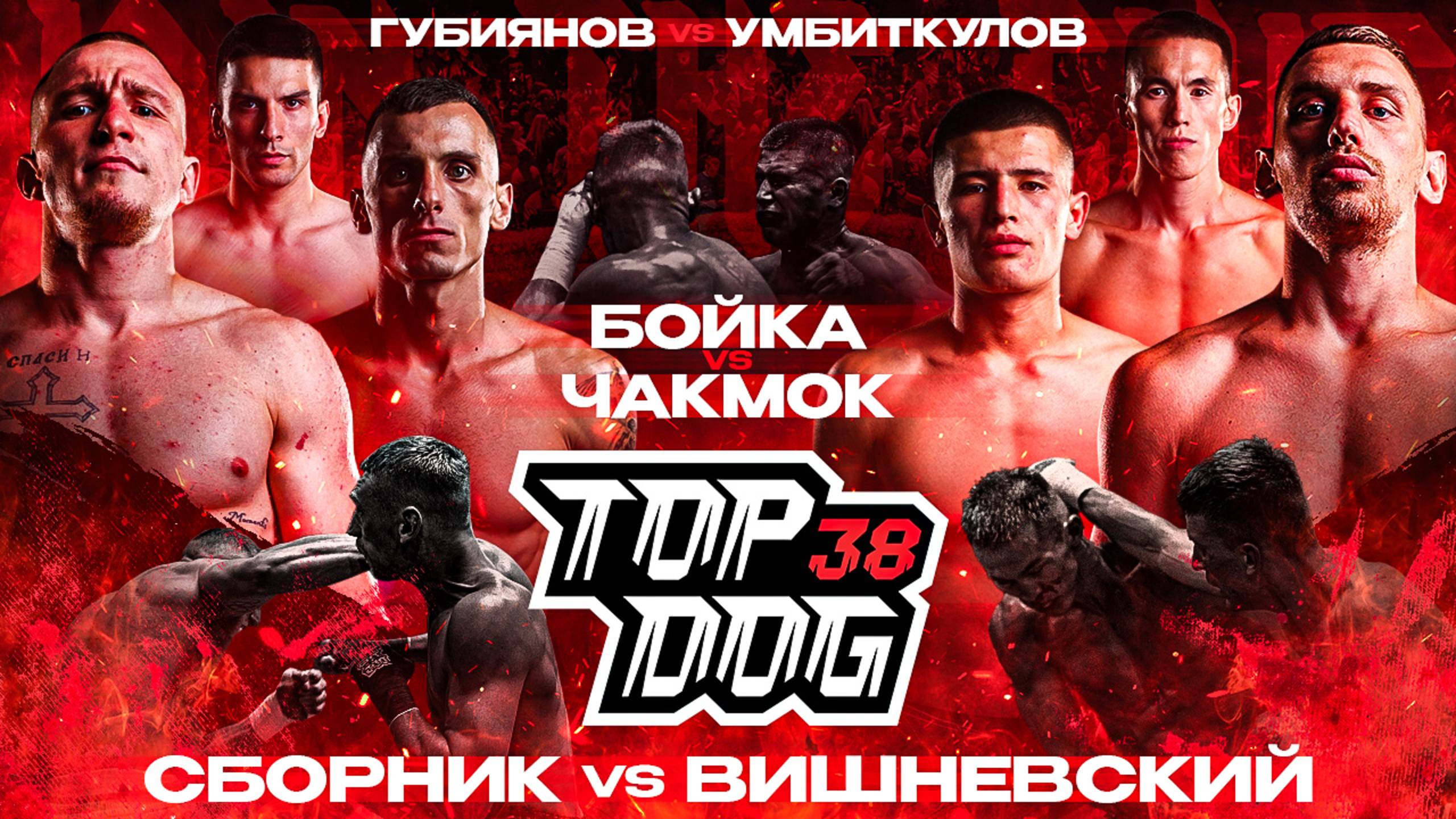 Сборник VS Вишневский, Бойка VS Чакмок, Губиянов VS Умбиткулов | TOP DOG 38, Казань