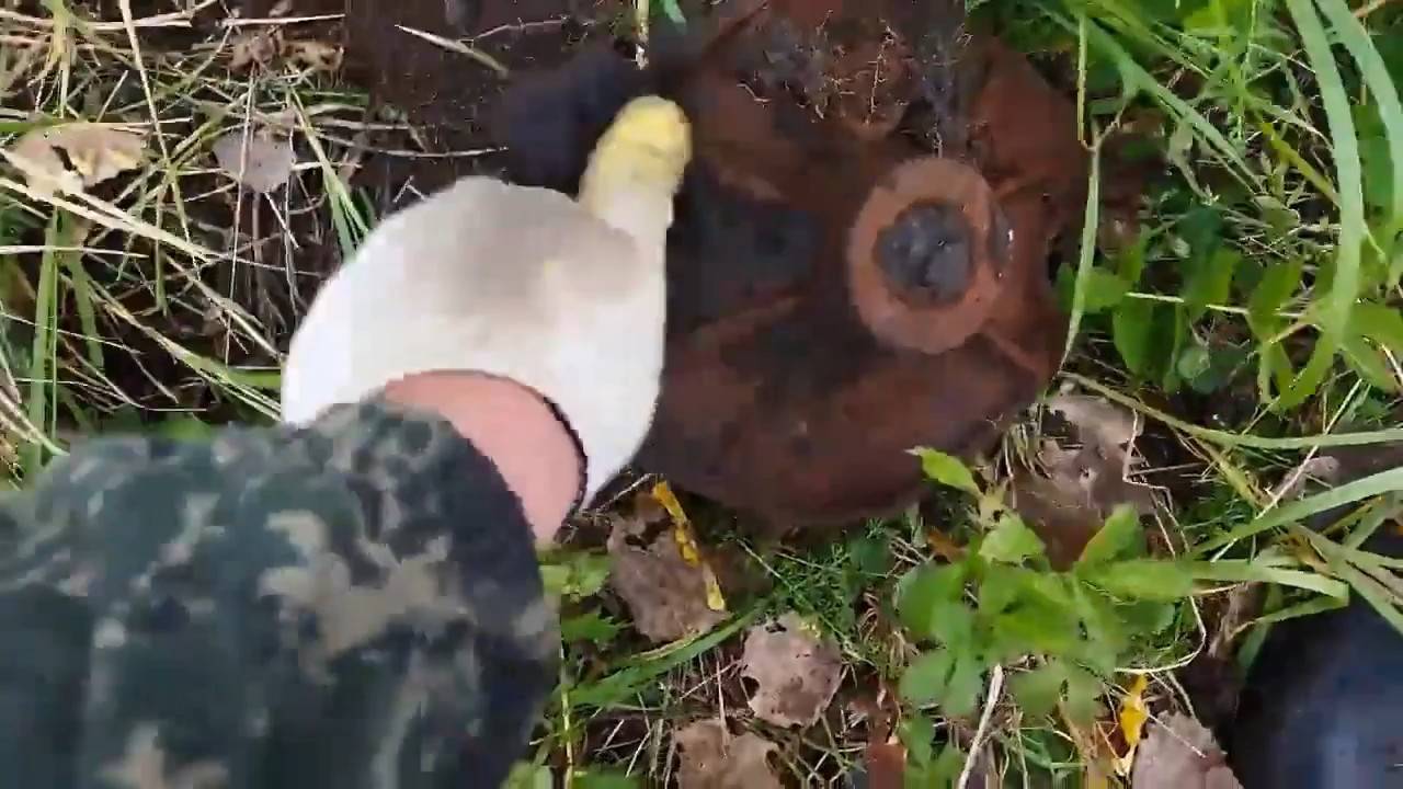 КОП НА ПОЛЕВОМ СТАНЕ ВРЕМЁН СССР! ХОРОШЕЕ ЖЕЛЕЗО! ТХ-850!!! Видео из архива!