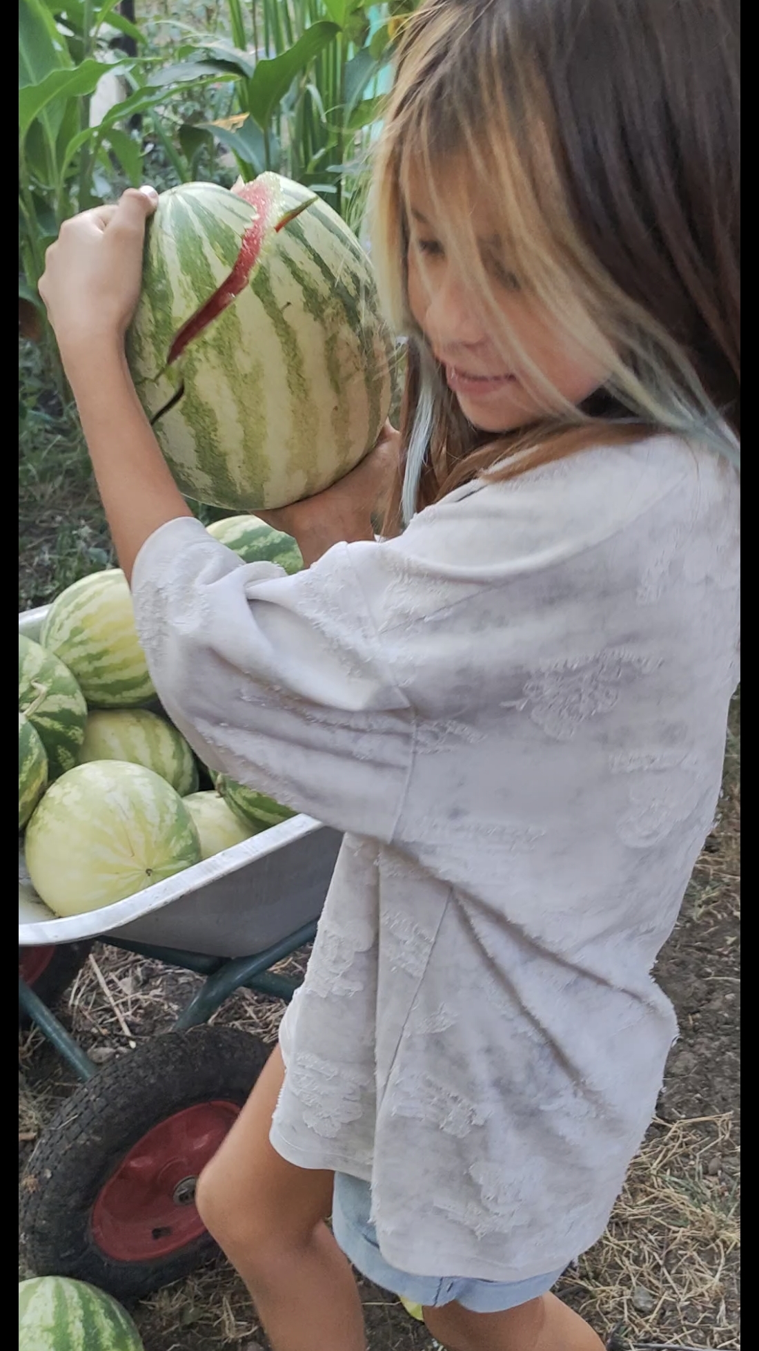 СПОРИМ, эти утки съедят БОЛЬШЕ АРБУЗА, чем ты?