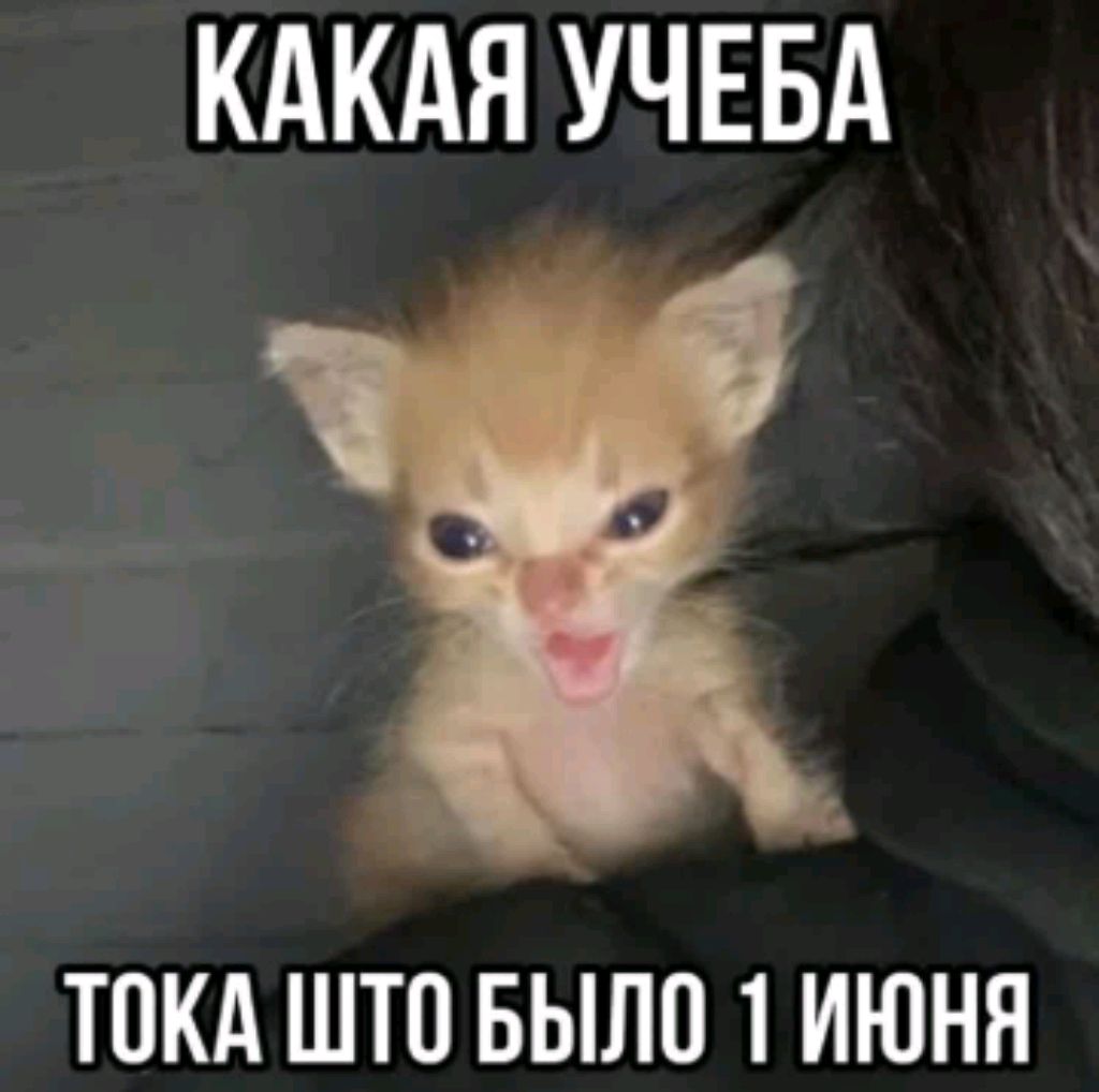 РИСУЕМ ОБЩАЕМСЯ ТУТ ИНТЕРЕСНО🤑