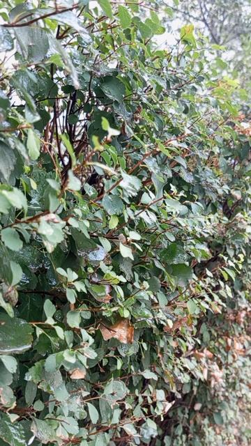 26.08.2025 #сегоднятак #природа #прырода #табиғ #自然 #natureza #natura #자연 #طبيعة #प्रकृति #nature