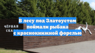 В лесу под Златоустом поймали рыбака с краснокнижной форелью