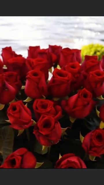 Если бы не было Любви, то и плоть тогда не нужна 🍷🍇🫶