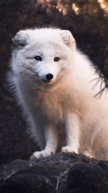 VID_20250826_220504_268.mp4