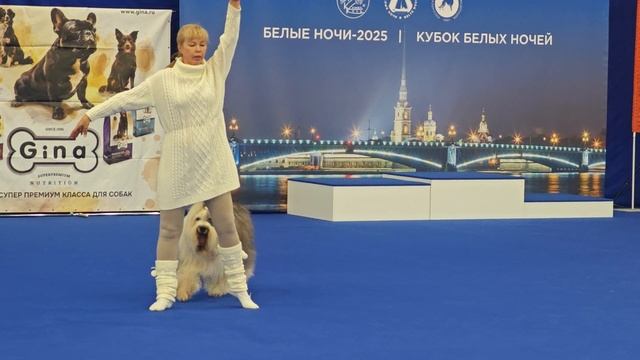 1000013341.mp4.Марина Кулакова.Соревнования по танцам с собаками.К.В.Ц Экспофорум.Санкт-Петербург.
