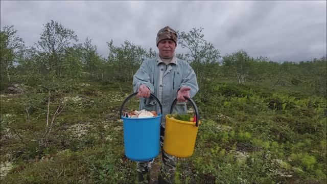 Мурманск. Грибпая пора 2020