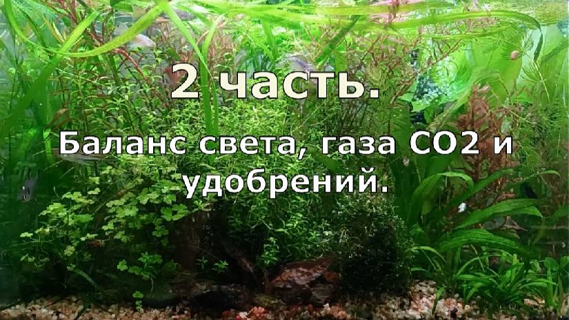 Часть 2.  Продолжение видео "Баланс  газа СО2, света, удобрений".